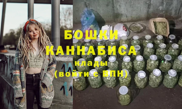 дмт Краснослободск