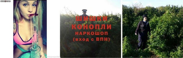 не бодяженный Красноперекопск