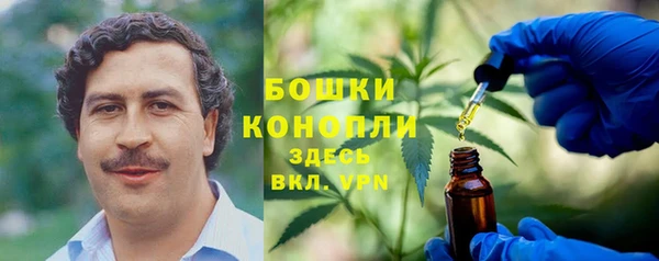 дмт Краснослободск