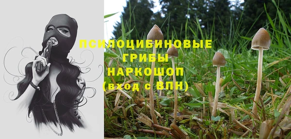 не бодяженный Красноперекопск