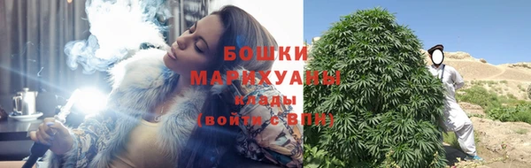 дмт Краснослободск