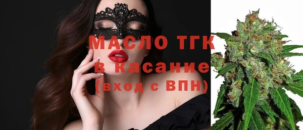дмт Краснослободск