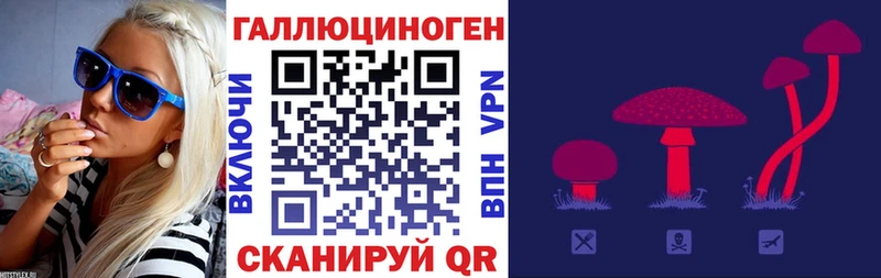 магазин продажи Маркс Галлюциногенные грибы ЛСД