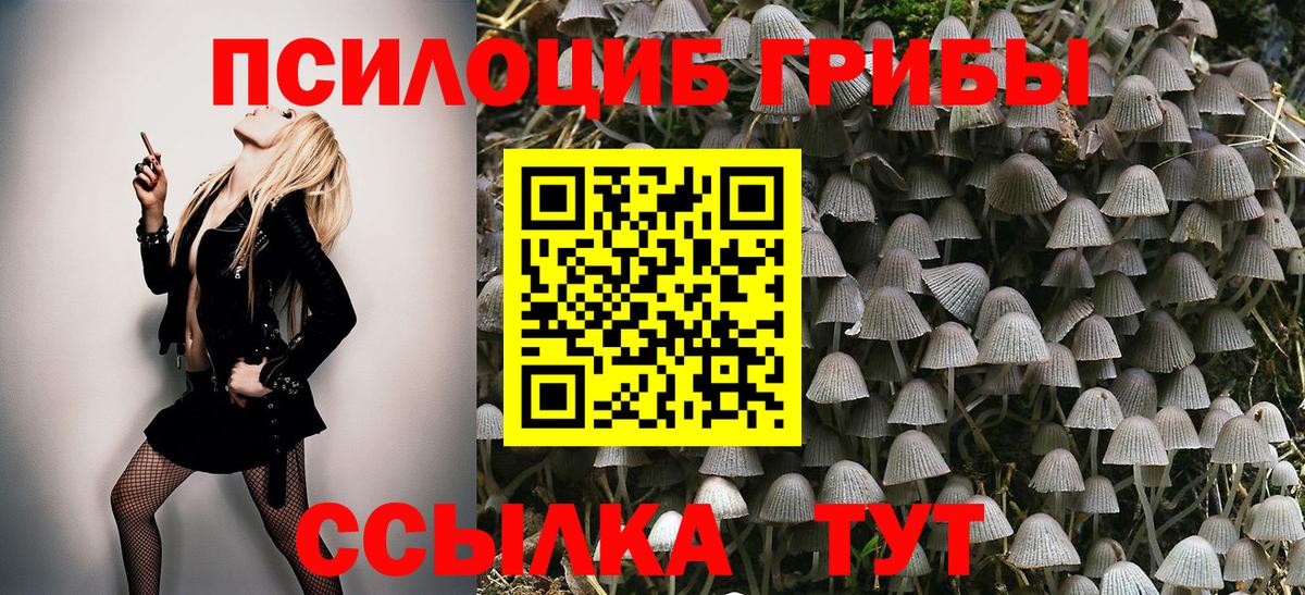 Маркс  Псилоцибиновые грибы Psilocybine cubensis  Вход с VPN 